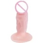 Анальный фаллоимитатор The Little Stud Penis Butt Plug, BI-017050
