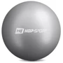М'яч для фітнесу Hop-Sport 25cm HS-R025PB silver