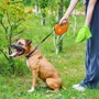 Повідець-рулетка для собак WAUDOG R-leash з контейнером для пакетів L помаранчевий до 40 кг 5 м (26294) фото 6