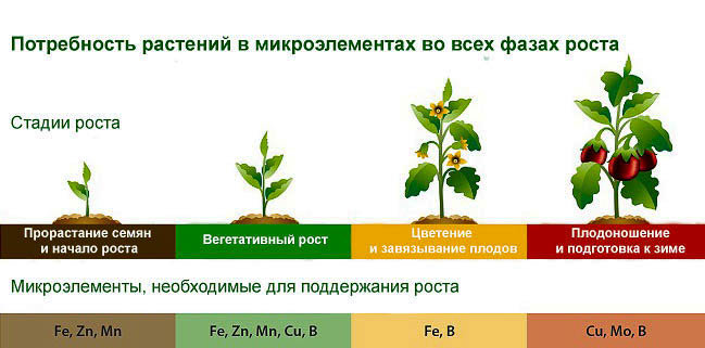 мікродобрива