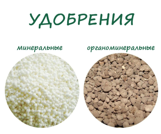 органомінеральні добрива