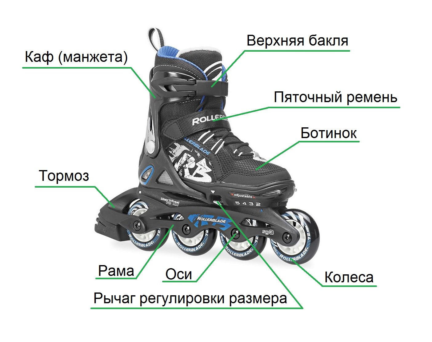строение роликов