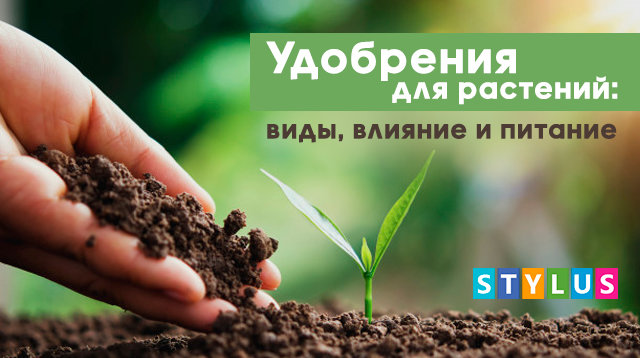 Добрива для рослин: види, вплив і живлення